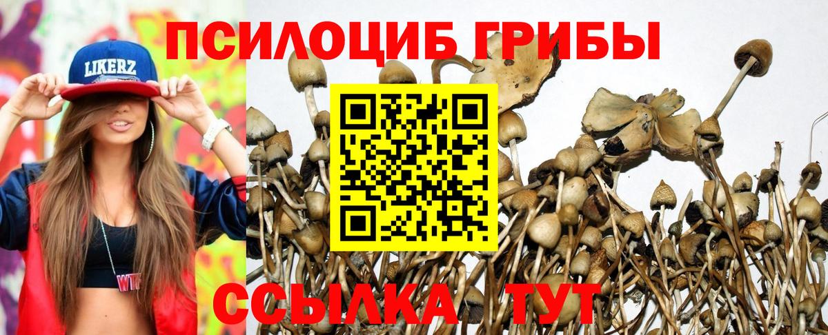Галлюциногенные грибы ЛСД Грязи