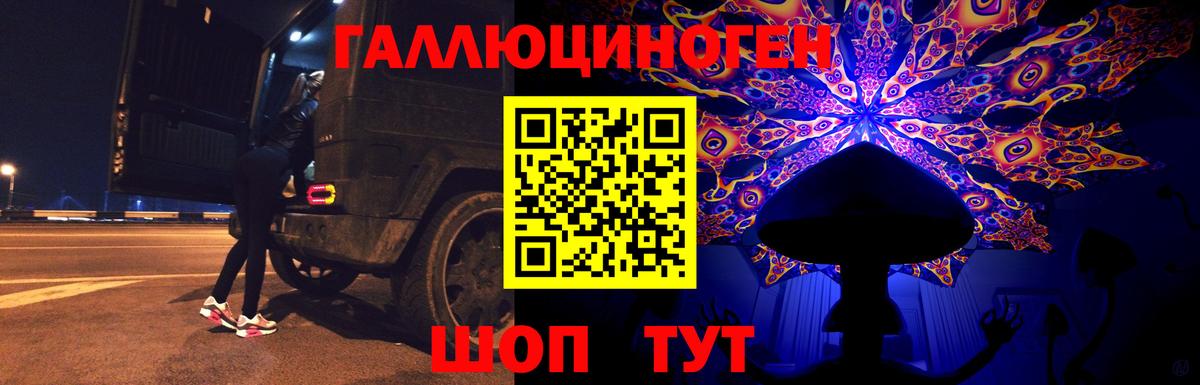Псилоцибиновые грибы GOLDEN TEACHER  Вход с VPN  Грязи 